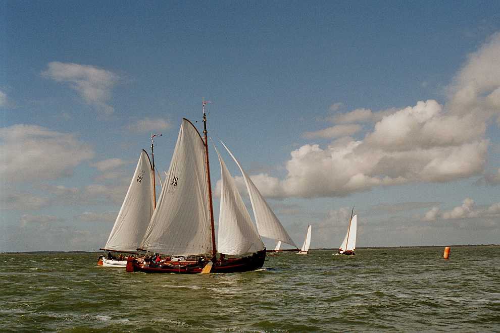 De otter(VA111) en de ijsvogel(VA161)